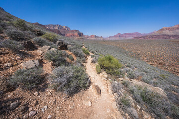 hiking the tonto trail in the grand canyon national park, arizona, usa