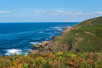 Summer morning at Ons Island's western edge. Rocky cliffs adorned with lush greenery plunge into calm blue sea, ferns in the foreground. San Vicente do Mar on the distant right under a blue sky.