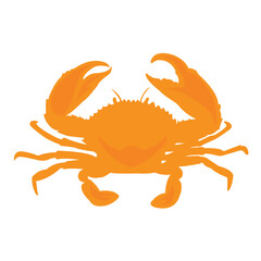 Sea crab vector white background.