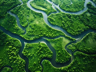 The mouth of the river from a bird's eye view