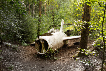 a destroyed and broken plane lies in the forest. plane with broken wings and broken windows after a plane crash