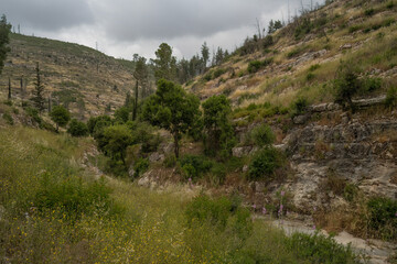 A Dry Riverbed in the Judea Mountains, Israel