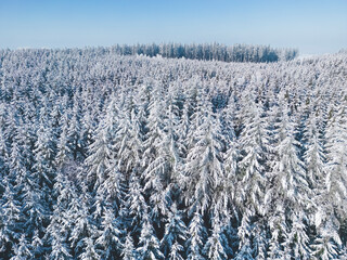 Aerial view of a frozen winter wonderland forest in southern Bavaria, Germany