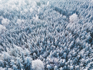 Aerial view of a frozen winter wonderland forest in southern Bavaria, Germany