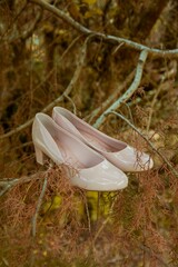 Woman shoes on tree