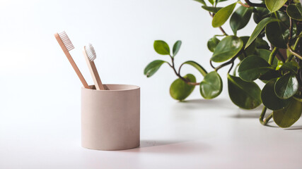 Bamboo toothbrushes in a stylish concrete glass on a white background