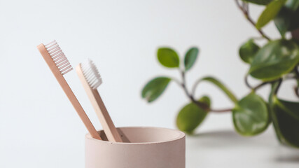 Bamboo toothbrushes in a stylish concrete glass on a white background