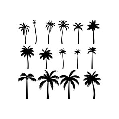 Black palm trees silhouette. Coconut tree set vector illustration on a white background
