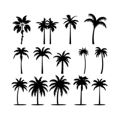 Black palm trees silhouette. Coconut tree set vector illustration on a white background
 - obrazy, fototapety, plakaty