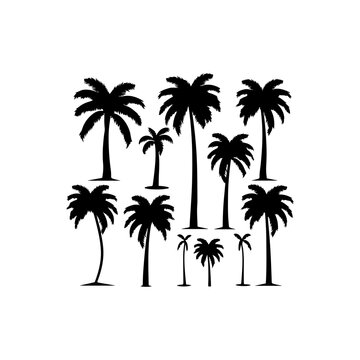 Black palm trees silhouette. Coconut tree set vector illustration on a white background
