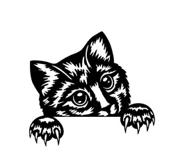 The black cat looking out, Black cat peeking, Funny cat peeking pets. Funny kitten, Black cat halloween, Kitty Graphic Silhouettes, cat's claws, the cat is hunting