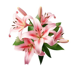 lily (Pink): Wealth and prosperity (2)