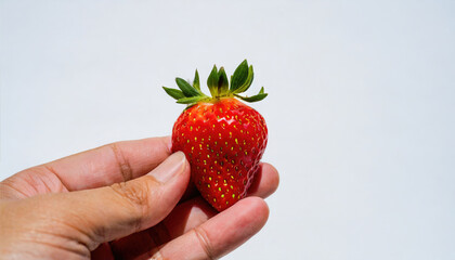Obraz premium Strawberry in hand