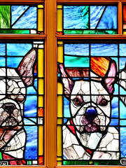 Boston Terriers In Stained Glass