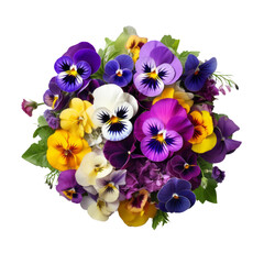 Pansy: Thoughtfulness and remembrance (4)