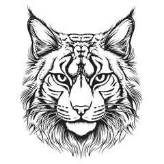Lynx. Sketch, drawn, graphic portrait of a lynx head © BigJoy