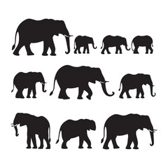 A black silhouette Elephant set, Clipart on a white Background, Simple and Clean design, simplistic