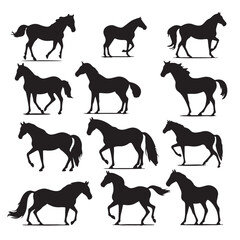 A black silhouette Horse set, Clipart on a white Background, Simple and Clean design, simplistic