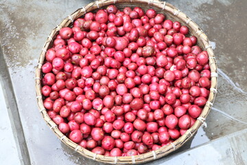 Farm fresh Pink Color Potato HD Images for Wallpaper and Research Purpose