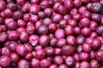 Farm fresh Pink Color Potato HD Images for Wallpaper and Research Purpose