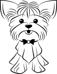 Vector Yorkshire Terrier breed dog, linear design.