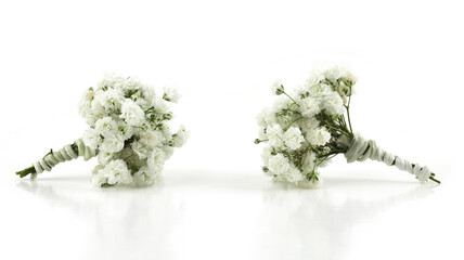 Small white Gypsophila flowers isolated on white background..Small bouquets of fluffy and...
