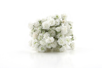 Small white Gypsophila flowers isolated on white background..Fluffy and cloud-like Gypsophila, commonly known as 'Baby's breath'.