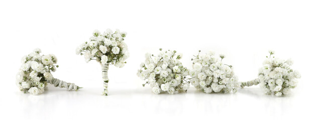 Small white Gypsophila flowers isolated on white background..Small bouquets of fluffy and...