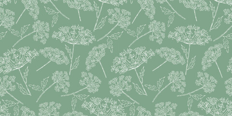 Seamless vector pattern of contour drawings blooming wildflowers umbrella plants, background for textile, paper,wallpaper - 708068481