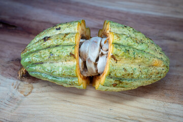 Cacao fruit opened just before the wash and dry process