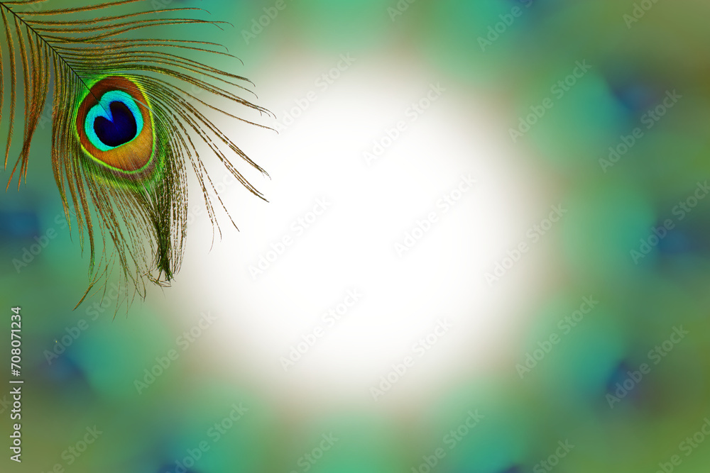 Sticker colorful peacock feather texture design in blurs circle cutout in transparent background,png format,