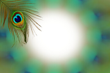 Obraz premium colorful peacock feather texture design in blurs circle cutout in transparent background,png format,text copy space