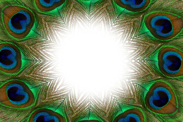 Obraz premium colorful peacock feather texture design in blurs circle cutout in transparent background,png format,text copy space