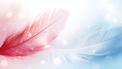 Beautiful color feathers on soft light background,  feather texture wallpaper