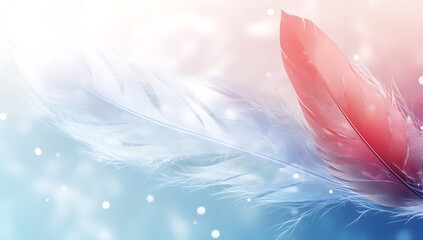 Beautiful color feather on soft light background, feather wallpaper, valentines day