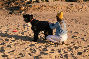 Beautiful woman with long hair pet big black dog giant schnauzer on the beach