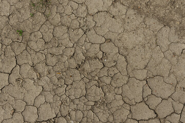 Soil cracked by drought.