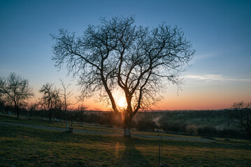 amazing spring rural landscape at sunset