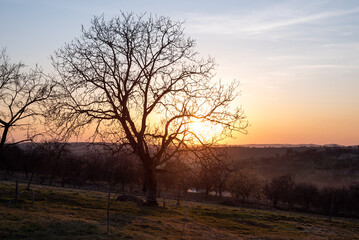 Fototapeta na wymiar amazing spring rural landscape at sunset