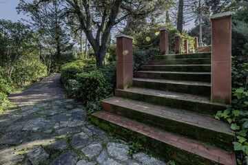 Exterior construction stairs with steps covered in green moss in the middle of a farm with lots of...