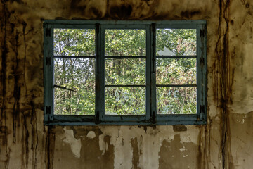 Wooden window of an abandoned old building overlooking an overgrown woodland