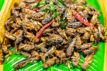 Thai street food, deep fried insects selling along the road side in Bangkok city or different parts in Thailand.