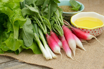 Ingredients on the table - raddish, lettuce, onion, oil and oregano.