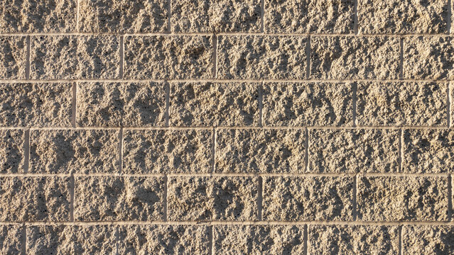 Close up view of a textured cinder block wall.