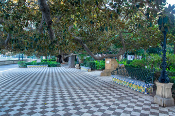 fountain in the garden