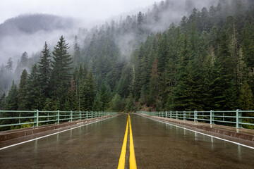 Rainy Mountain Road through Misty Pines
