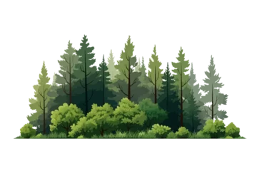 Poster forest landscape asset vector flat minimalistic isolated vector style illustration © Zaharia Levy