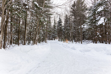 ice trail in the snow