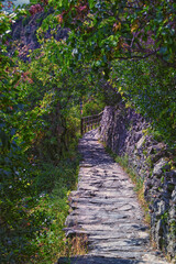 Fototapeta premium Cinque Terre views of hiking trail along seaside villages on the Italian Riviera coastline. Liguria, Italy, Europe. 2023 Summer. 