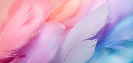 Delicate, soft, light bird feathers. Background, screensaver. Nice soft shades. Feather texture....